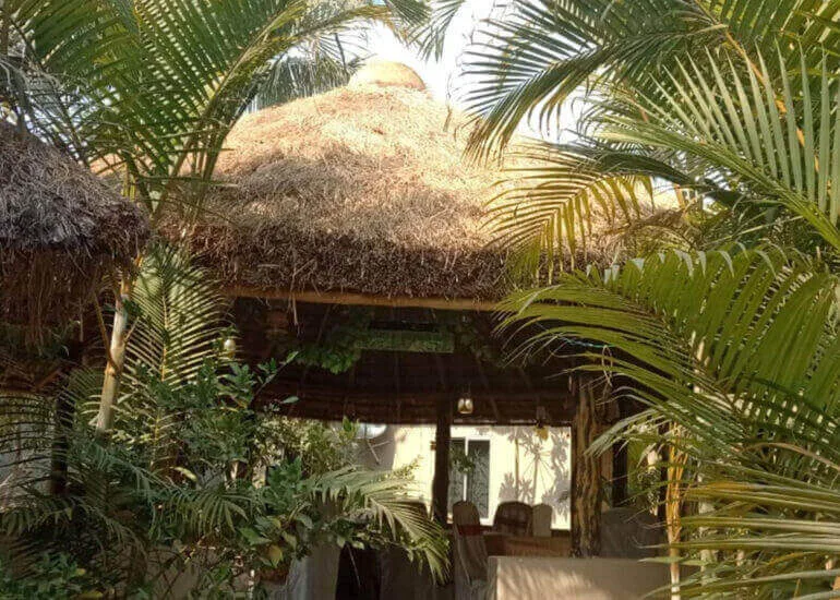 Solitary Nook near Pakhiralay in the Indian Sundarbans
